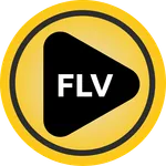 FLV Player - Media Player App icon