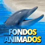 Fondos de pantalla de delfines icon