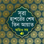 সূরা হাশরের শেষ তিন আয়াত অডিও icon