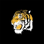 North Allegheny Athletics icon