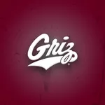 Montana Grizzlies icon