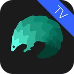 TransocksTV- China VPN for TV icon