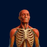 Digital Anatomy Atlas icon
