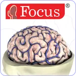 NEUROANATOMY - Digital Atlas icon