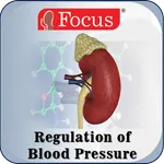 Regulation of Blood Pressure icon