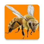 Koumi icon
