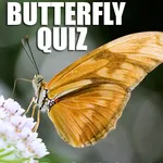 Quiz : What Butterfly Are You  icon