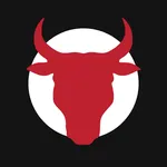 Pro Мангал House icon