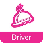 FZ DRIVER TEST icon