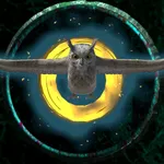 Magic Rings AR icon