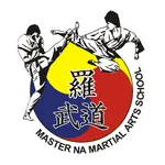 Master Na Martial Arts icon