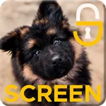Dog Puppy HD Wallpaper Cute Sc icon