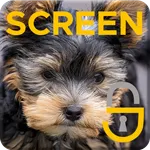 Yorkshire Terrier Puppy Dog Th icon