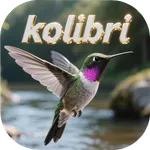 suara pikat burung kolibri icon