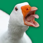 Angry Goose Simulator: Rampage icon