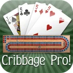 Cribbage Pro Online! icon