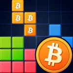Blocks of Bitcoin icon