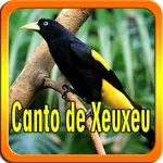 Canto de Xeuxeu icon