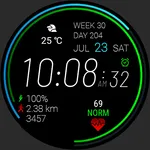 Futorum H1 Digital watch face icon