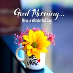 Good Morning Wishes Images icon