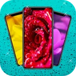 Flowers and roses wallpapers icon