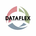 DataFlex360 icon