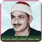 Menshawy Holy Quran Offline icon