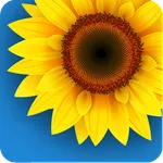 Gallery Download Pro icon