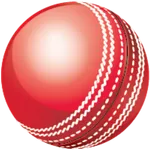 Cricket Speed Gun icon