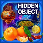 hidden object : Discover icon