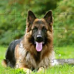 German Shepard Puzzles  Games icon