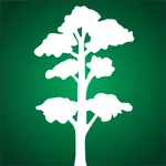 Reforest Rainforest icon