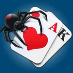 Spider Solitaire icon