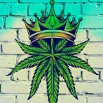 Weed Wallpaper icon