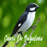 Canto De Bigodinho icon