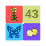 Find pair. Improve your memory icon