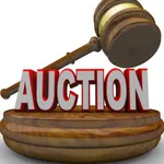 iraq Auction icon