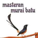 Masteran Murai Batu icon