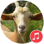 Goat Sounds icon