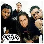 POD Music icon
