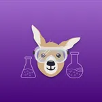 Staging Diabetes Logger icon