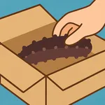 Slimy Namako. Swipe to Catch! icon