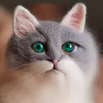 Puzzle: Woolen cats toys icon