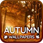 Autumn wallpapers 4K for phone icon