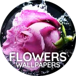 Flowers wallpaper for phone icon