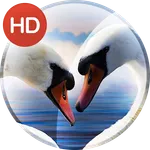 Romantic wallpaper icon