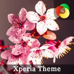 Spring flowers theme for  Xper icon