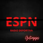 Radio ESPN Radio fm icon