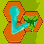 Water Link: Hex Puzzle icon