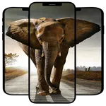 Elephant Wallpapers icon